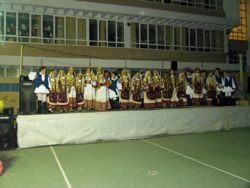 arvanitikos gamos fyli
